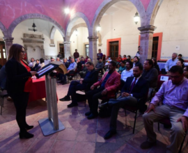 libro Barrios Irapuato