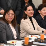 Seguridad en Irapuato