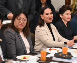 Seguridad en Irapuato