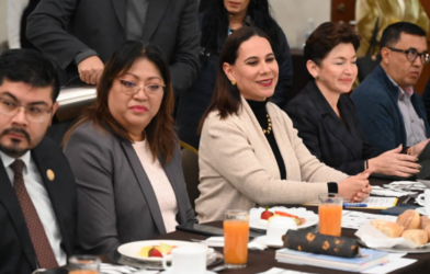 Seguridad en Irapuato