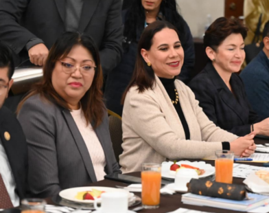 Seguridad en Irapuato