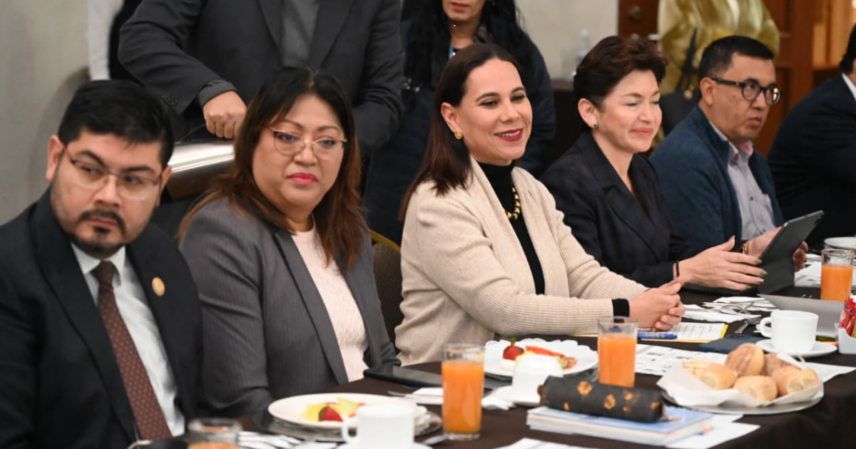 Seguridad en Irapuato