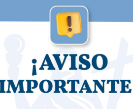 Seguridad en Irapuato