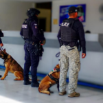 Operativo Paquetería Irapuato