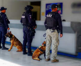 Operativo Paquetería Irapuato