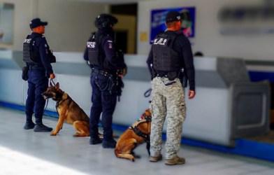 Operativo Paquetería Irapuato