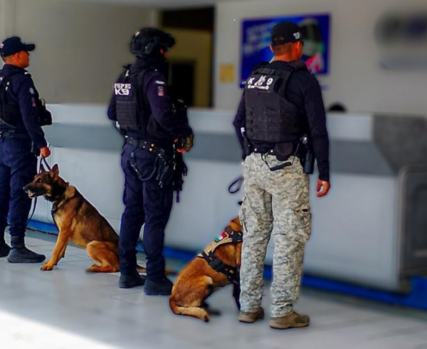 Operativo Paquetería Irapuato