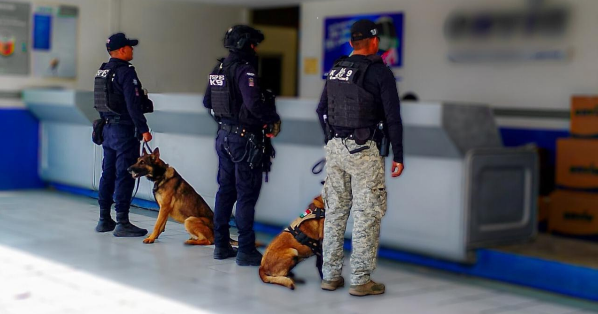 Operativo Paquetería Irapuato