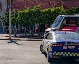 marcha mujeres Irapuato