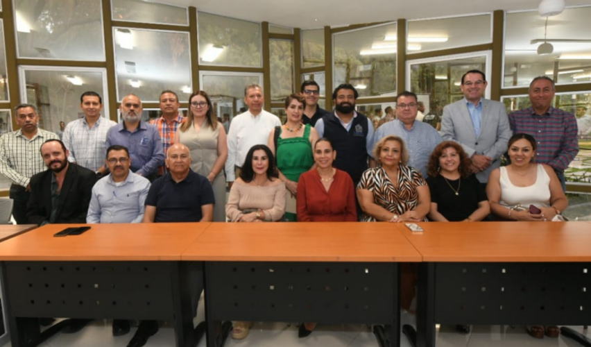 municipalización Lomas Pedregal