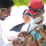 vacunación antirrábica Irapuato