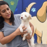 Adopción responsable Irapuato