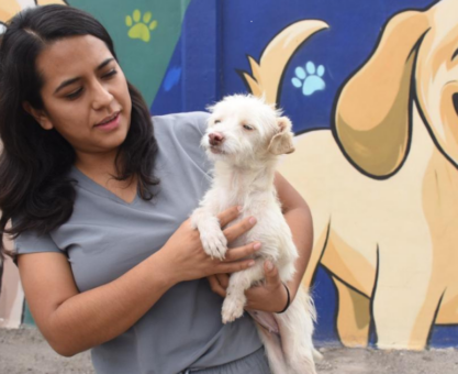 Adopción responsable Irapuato