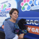Esterilización animal gratuita