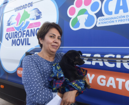 Esterilización animal gratuita