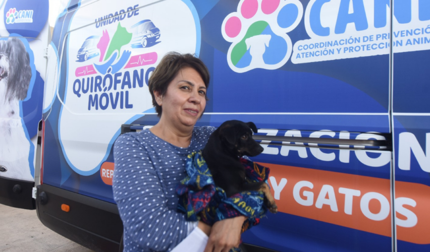 Esterilización animal gratuita