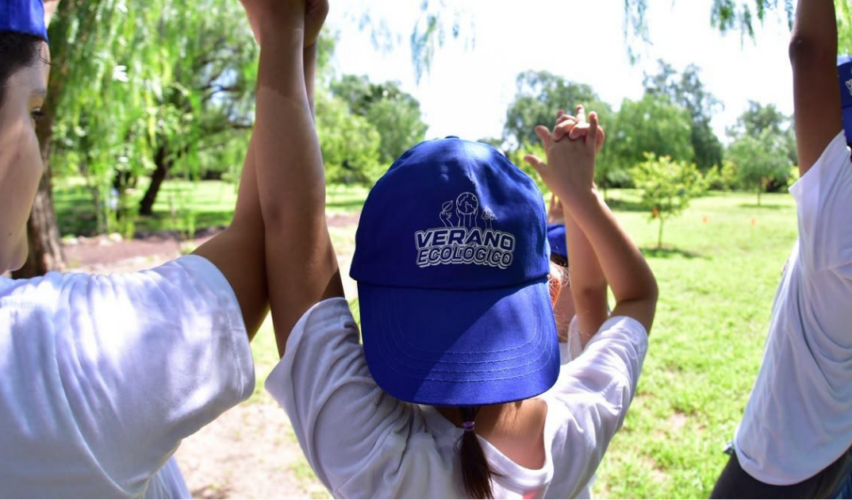 Cursos de Verano