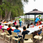 Cursos de verano