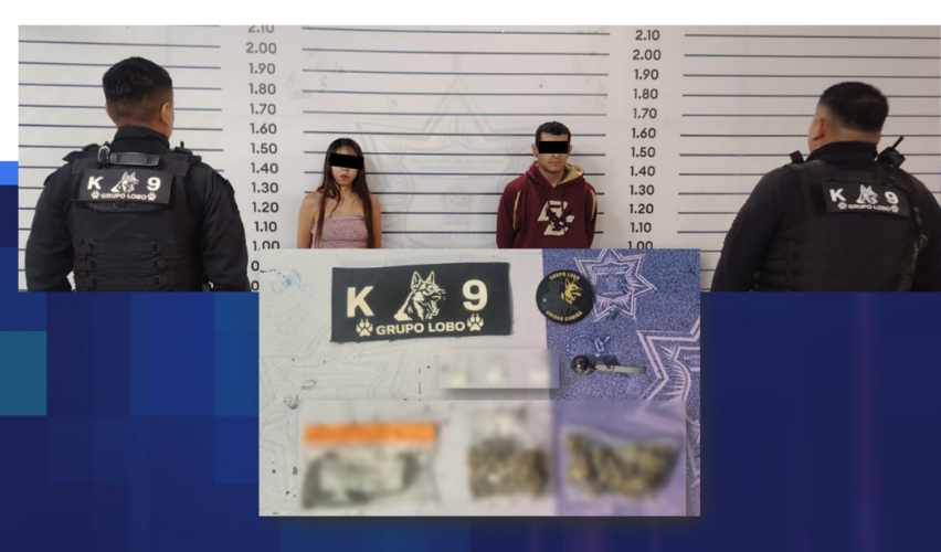 Detención en Irapuato