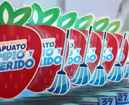 Escoba de Platino