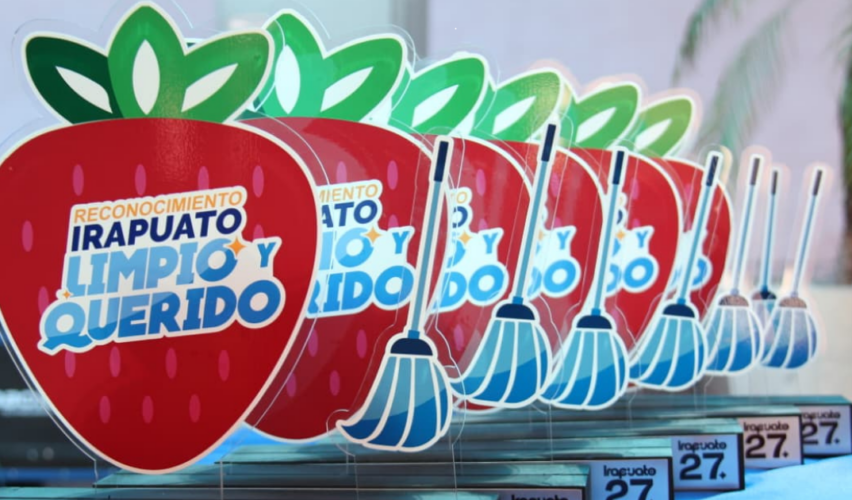 Escoba de Platino
