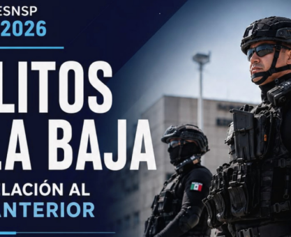 Seguridad en Irapuato