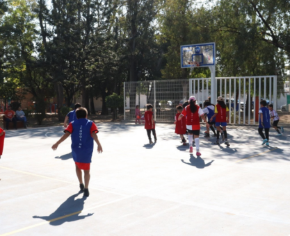 Unidades deportivas Irapuato