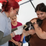 esterilización gratuita Irapuato