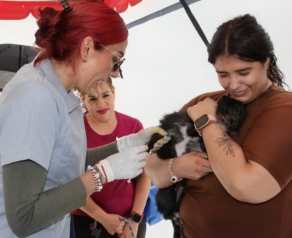 esterilización gratuita Irapuato