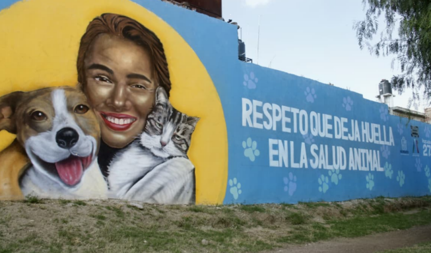 Colonia Responsable de Mascotas