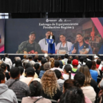 Equipamiento para comerciantes