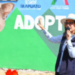 cuidado responsable de mascotas