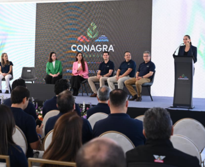inversión en Irapuato