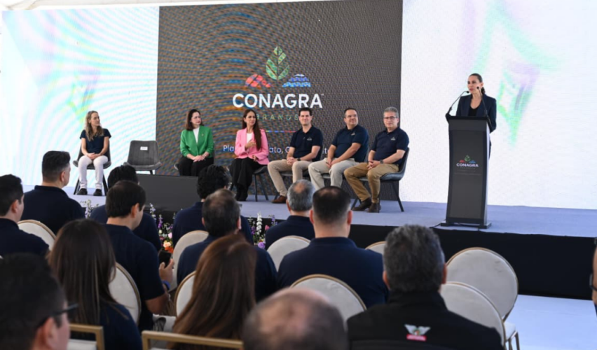 inversión en Irapuato